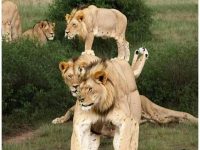 第一眼看出你最近的煩惱! 好準