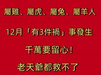 「屬雞、屬虎、屬兔、屬羊人」12月恐有3件禍事發生，千萬要留心！