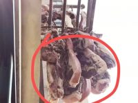 樓上鄰居臘肉掛到我家窗!溝通被當空氣…網友授「1神招」樓上秒收:要用腦別用吵 樓上鄰居臘肉掛到我家窗!溝通被當空氣…網友授「1神招」樓上秒收:要用腦別用吵