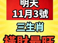 明天11月3號三生肖橫財最旺
