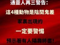 通靈人警告！這4種動物是陰間鬼差，一旦出現在家裡，千萬別輕忽！