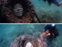 海底出現神秘「人臉」，潛水員湊近一看，立刻上岸報警