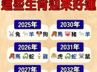接下來十年好運的生肖