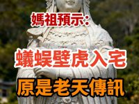 媽祖預示:蟻蜈壁虎入宅,原是老天傳訊,家運將迎巨變!越早知道越好 媽祖預示:蟻蜈壁虎入宅,原是老天傳訊,家運將迎巨變!越早知道越好