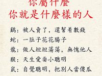 你屬什麼，你就是什麼樣的人！