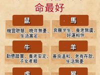 十二生肖誰的晚年命最好! 十二生肖誰的晚年命最好!