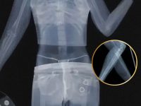 為什麼女性遊客過安檢時，工作人員會很尷尬？今天可算知道了！