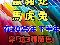 生肖「鼠、豬、蛇、馬、虎、兔」在年末穿「這3種顏色」衣服最招財