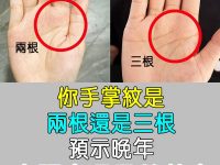 你手掌紋是兩根還是三根,預示晚年享福命還是勞苦命! 你手掌紋是兩根還是三根,預示晚年享福命還是勞苦命!