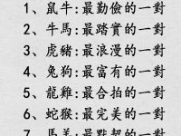 十二生肖最配的夫妻 十二生肖最配的夫妻