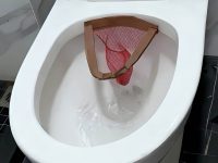 閨蜜家馬桶裝「神秘網袋」幹嘛?人妻拍照問老公…神回1句,全網自查 閨蜜家馬桶裝「神秘網袋」幹嘛?人妻拍照問老公…神回1句,全網自查