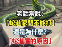 老話常說：「蛇進家門不能打」這是為何「蛇進屋的原因」很多人都不知道