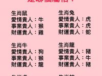 十二生肖的貴人！