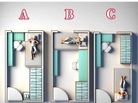 租房哪一個房間比較好？一眼看穿你的真實內心！