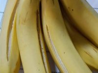 菜市場驚見裂口香蕉!老闆說越裂越甜?專家實測真相讓人傻眼! 菜市場驚見裂口香蕉!老闆說越裂越甜?專家實測真相讓人傻眼!