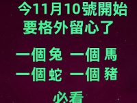 今天11/10號開始要格外留心了，一個兔，一個蛇，一個馬，一個豬必看