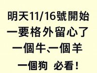 明天11/16號開始要格外留心了，一個牛，一個羊，一個狗必看