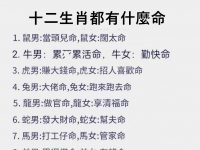 十二生肖都有什麼命