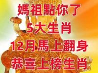 媽祖點你了！12 月馬上「翻身」五大生肖