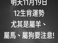 明天11月19日12生肖運勢 尤其是屬馬、屬羊、屬狗要注意!