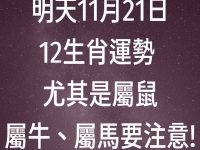 明天11月21日12生肖運勢 尤其是屬鼠、屬牛、屬馬要注意!