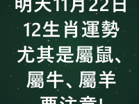 明天11月22日12生肖運勢 尤其是屬鼠、屬牛、屬羊要注意!