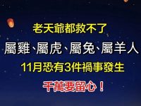 「屬雞、屬虎、屬兔、屬羊人」11月恐有3件禍事發生,千萬要留心! 「屬雞、屬虎、屬兔、屬羊人」11月恐有3件禍事發生,千萬要留心!