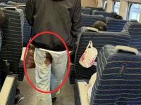 褲子後面紅紅的！車廂遇到「前方大哥出糗」得知真相後愣住「還好沒去問」