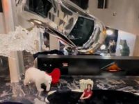 女人炫富「3千萬藍寶堅尼掛牆上」當裝飾　「電費1年164萬」下場慘了