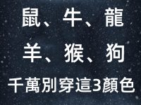 冬至「鼠、牛、龍、羊、猴、狗」千萬別穿這3顏色，恐衰到明年！