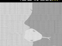 脾氣越好的人，越容易看到魚！第一眼看到什麼動物？