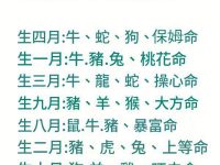 你哪月出生，就是什麼命！