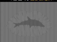 第一眼看到什麼？脾氣越好的人，越容易看到它！