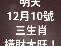 「 明天 12月10號 」 三生肖 橫財大旺！