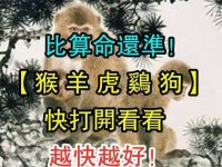 比算命還準（猴羊虎雞狗）快打開看看，越快越好！