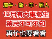 屬牛、龍、羊、雞人，12月有大事發生！禁忌不可不知！
