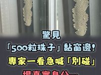 驚見「500粒珠子」黏窗邊！專家一看急喊「別碰」揭真實身分…常見地點曝光