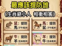 2026年最應該防誰,尤其是最後一個,準的可怕! 2026年最應該防誰,尤其是最後一個,準的可怕!