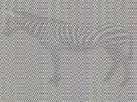 第一眼看到什麼動物，代表你目前承受的精神壓力！