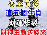別錯過！冬至前後！這五個生肖財運炸裂，財神主動送錢來！