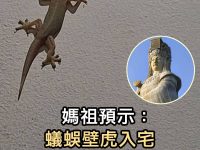 媽祖預示：蟻蜈壁虎入宅，原是老天傳訊，家運將迎巨變！越早知道越好