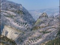 你第一眼看到的是什麼？