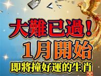 大難已過！1月開始 ，即將撞好運的生肖 ！
