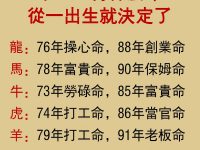 十二生肖什麼命，從一出生就決定了！