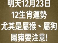 明天12月23日12生肖運勢 尤其是屬猴、屬狗、屬豬要注意!