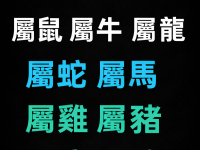 元旦「屬鼠 屬牛 屬龍 屬蛇 屬馬 屬雞 屬豬 」一定要看！