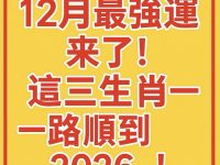12月最強運來了!這三生肖一路順到2026! 12月最強運來了!這三生肖一路順到2026!