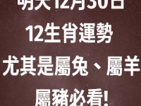 明天12月30日12生肖運勢 尤其是屬兔、屬羊、屬豬必看! 明天12月30日12生肖運勢 尤其是屬兔、屬羊、屬豬必看!