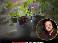 真的不是迷信！這5種花是冤魂的家，不僅破財還會帶來血光之災，家裡有的趕緊扔掉！