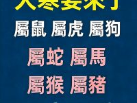 大寒要來了「屬鼠 屬虎 屬狗 屬蛇 屬馬 屬猴 屬豬 」一定要看！